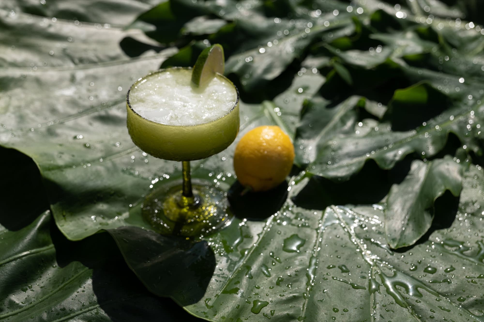 A pale green cocktail set on dark tropical leaves